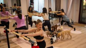 Porta el gos al gimnàs  Obre a Barcelona el primer estudi fitnes "100% ‘pet friendly’"
