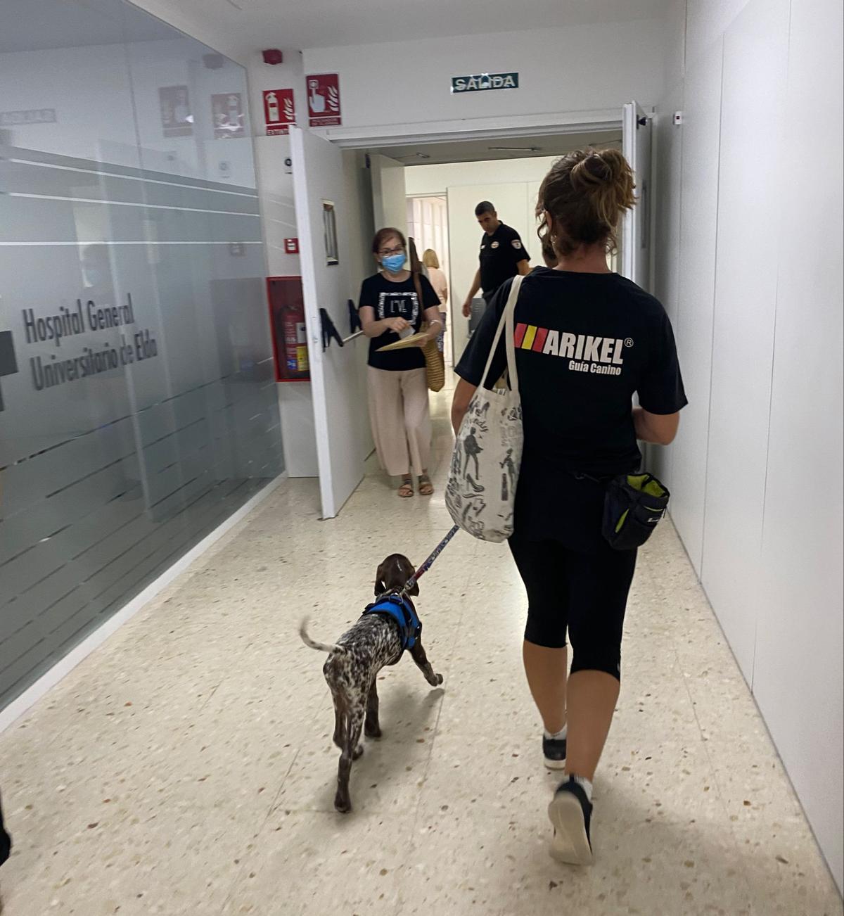 Una adiestradora canina de Arikel con su perro por el Hospital de Elda.