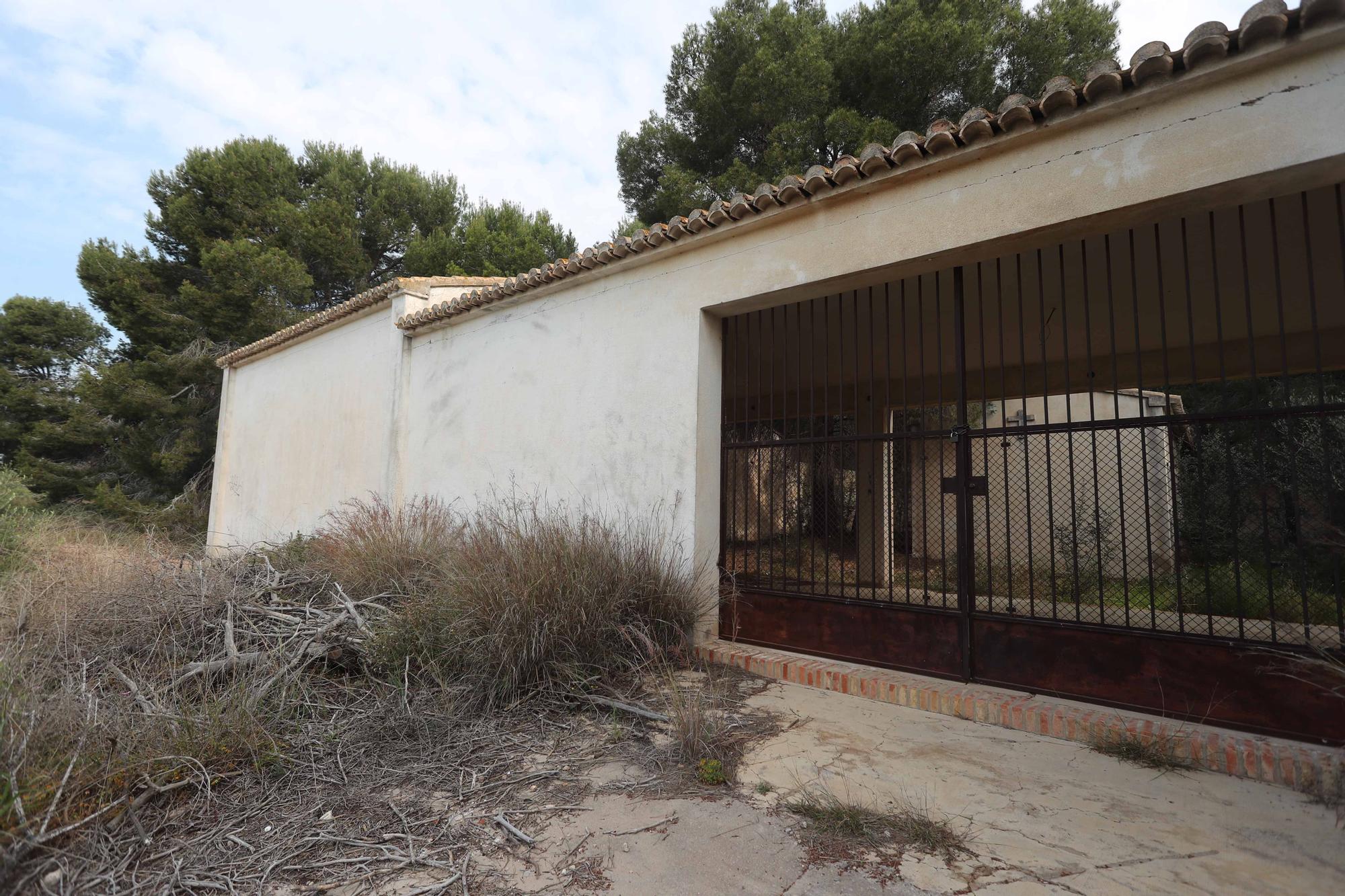 El cementerio abandonado de Moncada que te recordará a las películas de zombies