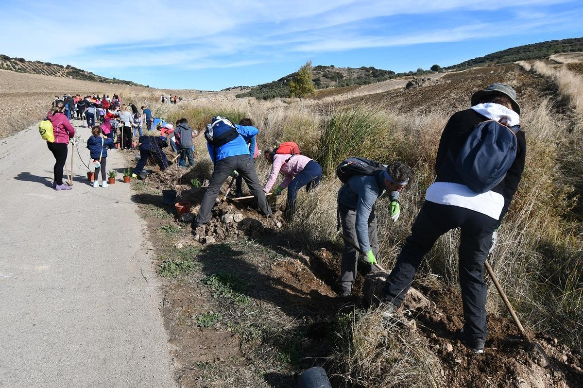 Unas 150 personas han participado en la arbolada de Cañete la Real.
