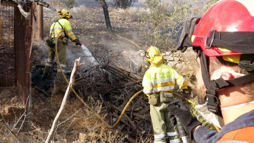 Vecinos de La Aparecida exigen retirar los pinos secos para evitar más incendios en la sierra