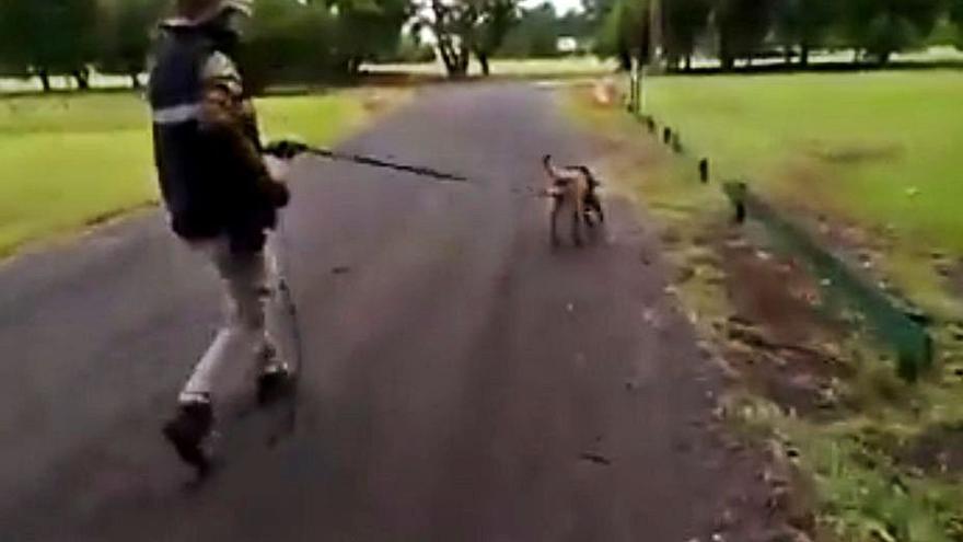 Captura del vídeo del binomio canino policial argentino.  | // REP. BERNABÉ