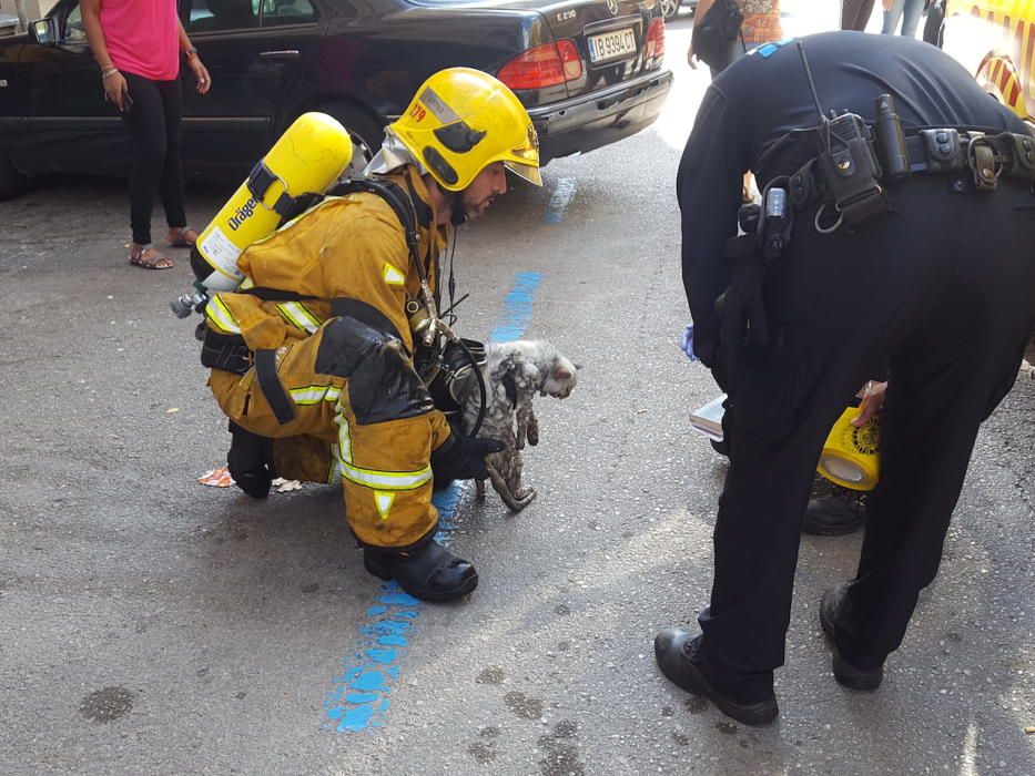 Investigan la violación de una mujer y el incendio intencionado de su casa en Palma