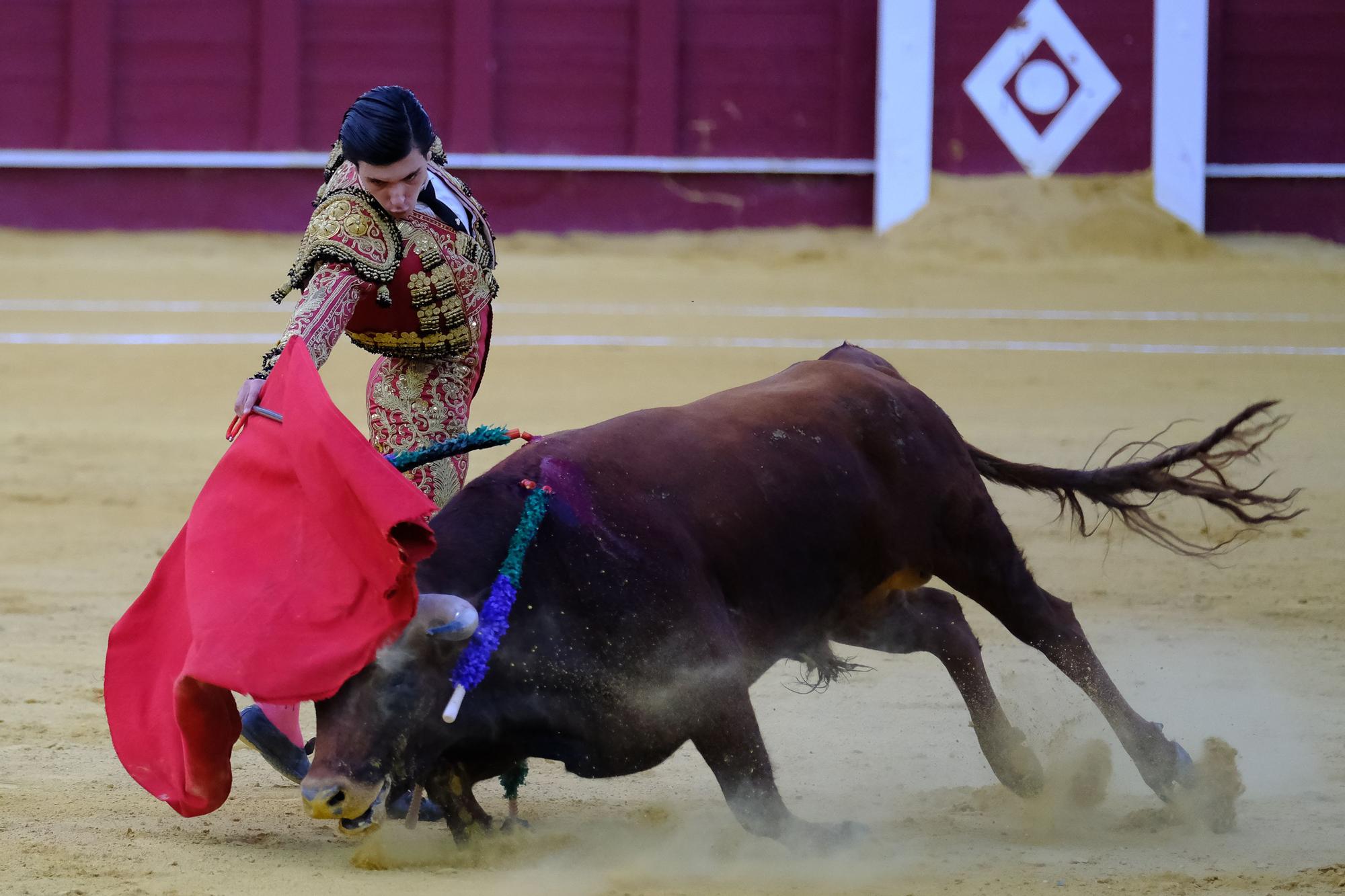 Toros en la Feria I Octava corrida de abono en la Malagueta:  2ª Semifinal de las Escuelas Taurinas