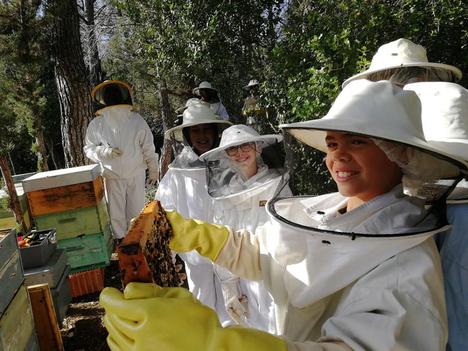 Niños apicultores en el Camp d'Aprenentatge de sa Cala