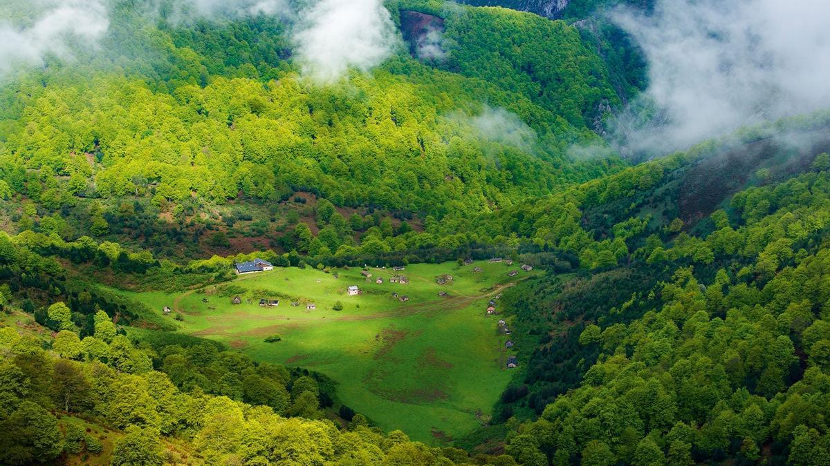 15 bosques encantados para difrutar en otoño