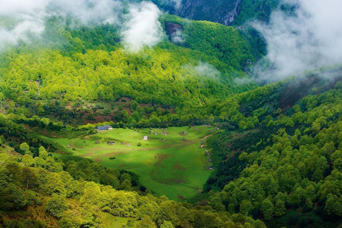 Vega de Brañagallones