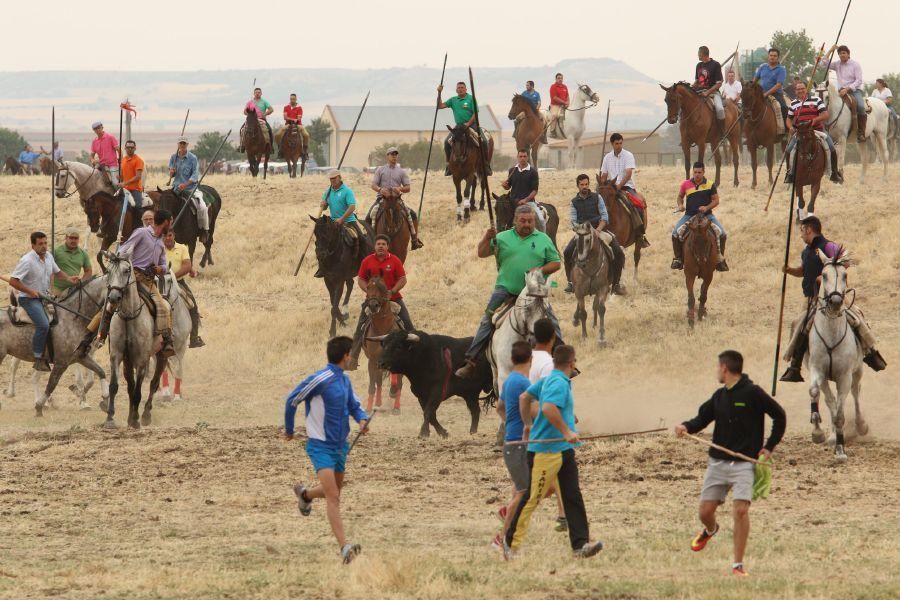 Segundo encierro taurino en Guarrate