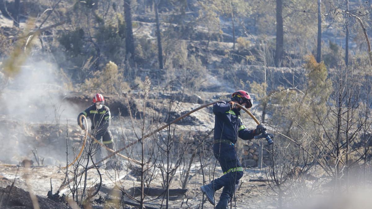 Hasta 700 personas han luchado contra el incendio de Villanueva de Viver.