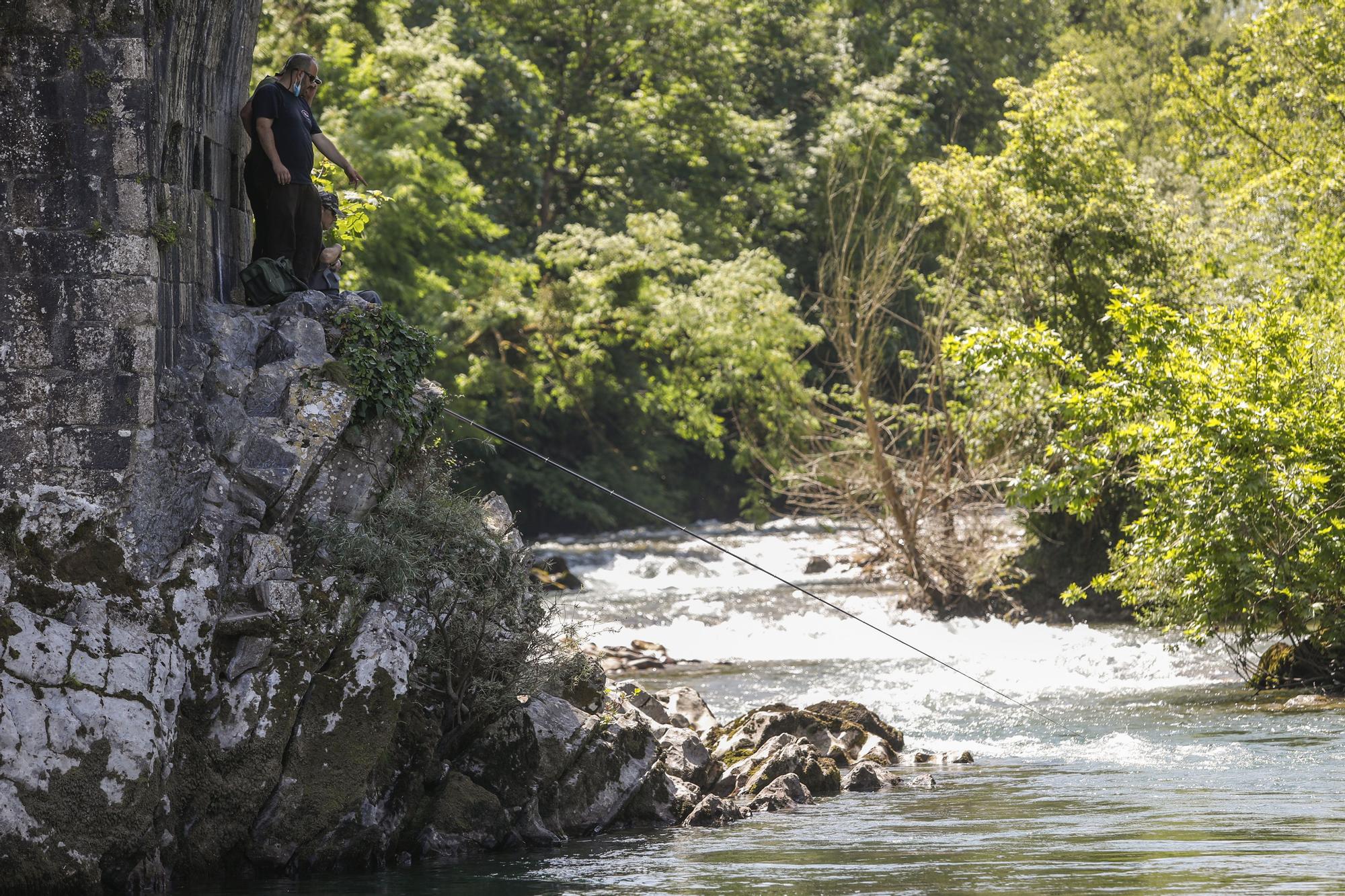 Temporada del salmón en Asturias: último día de pesca con cebo