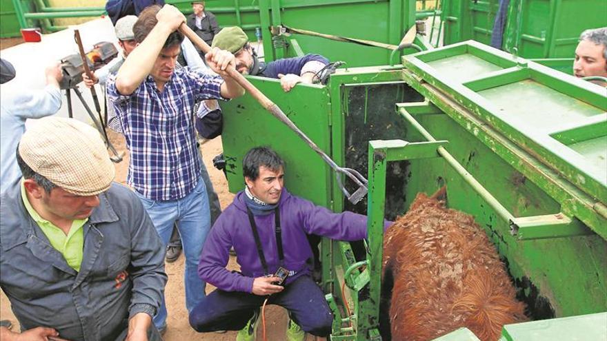 Ambientado herradero en casa de Daniel Ramos