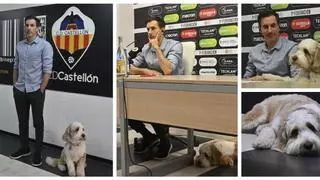 La imagen más tierna y viral de la rueda de prensa de Voulgaris en el Castellón