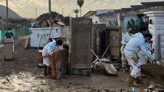 Un millar de voluntarios colaboran en la retirada del barro de las viviendas tras la DANA en Málaga