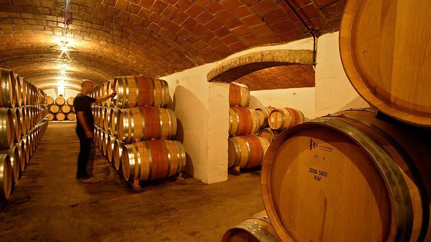 Els vinyaters i cellerers han sabut conservar l’herència d’anys de treball dels seus predecessors
