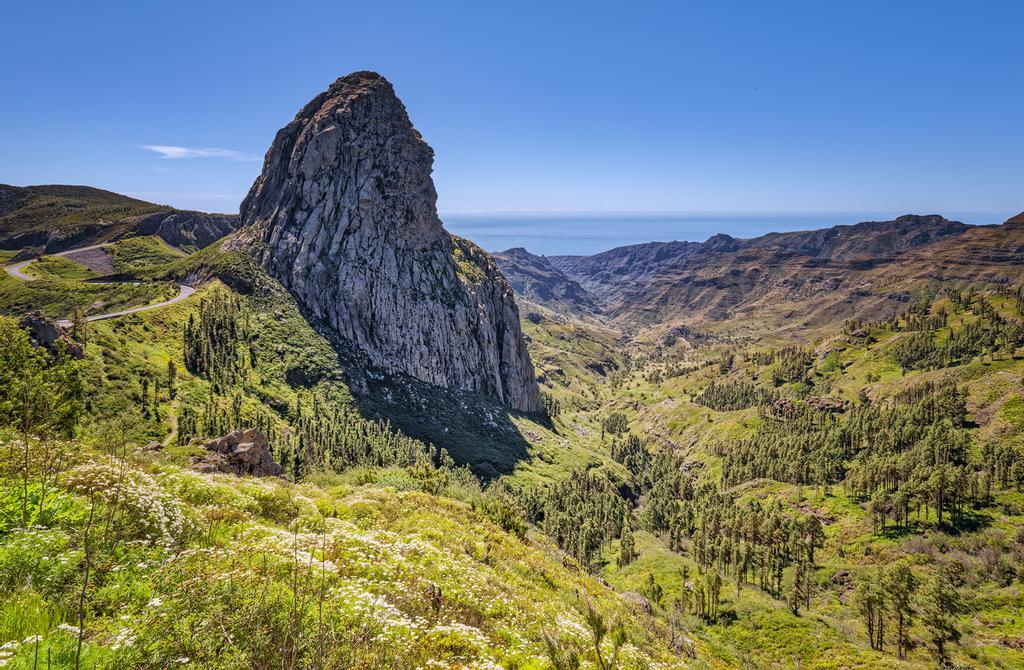 El parque destaca sobre todo por ser el principal exponente de la laurisilva canaria.