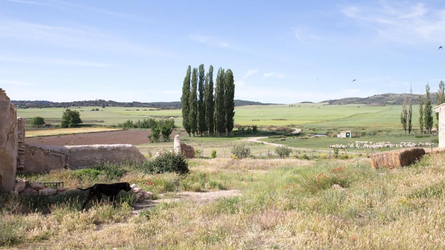 Los rincones secretos de Caravaca de la Cruz, al descubierto