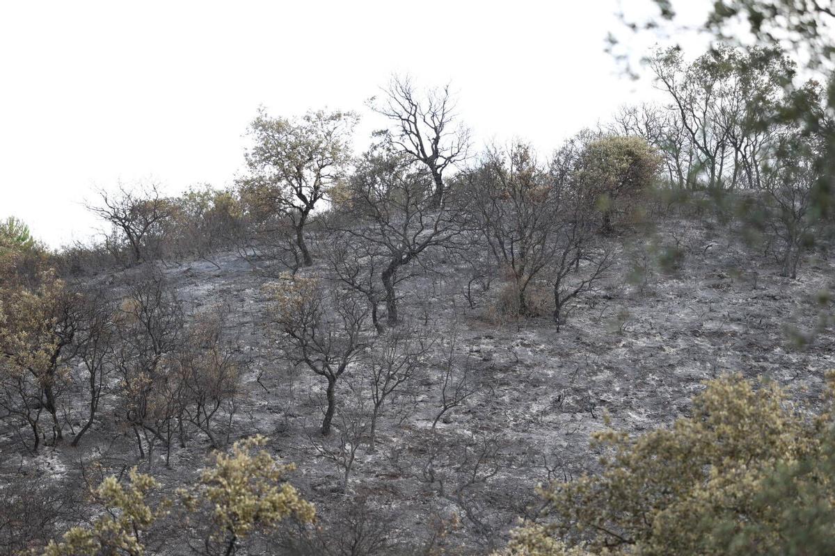 El Infoca trabaja en la extinción del incendio de Las Jaras en la sierra de Córdoba