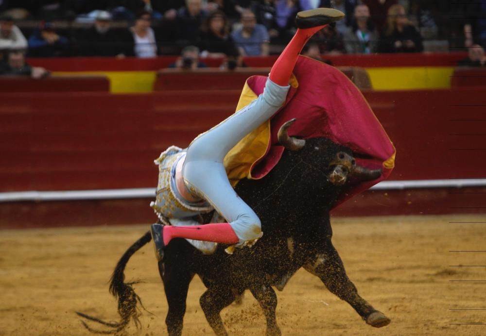 Erales de Aida Jovani para Miguel Senent «Miguelito» (Escuela de Valencia), Ramón Serrano (Escuela de Murcia) y Álvaro Passalacqua (Escuela de Málaga)