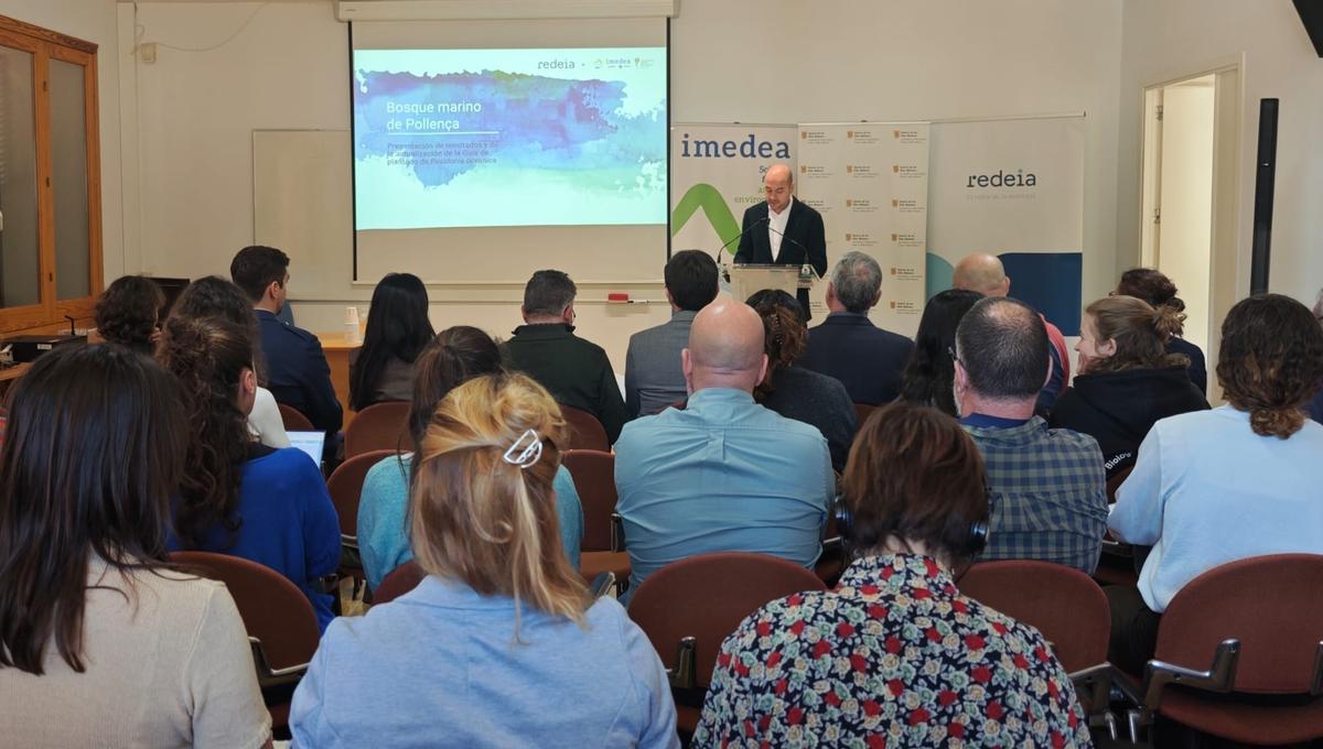 El delegado de Red Eléctrica en Baleares, Eduardo Maynau, este miércoles en el Imedea.