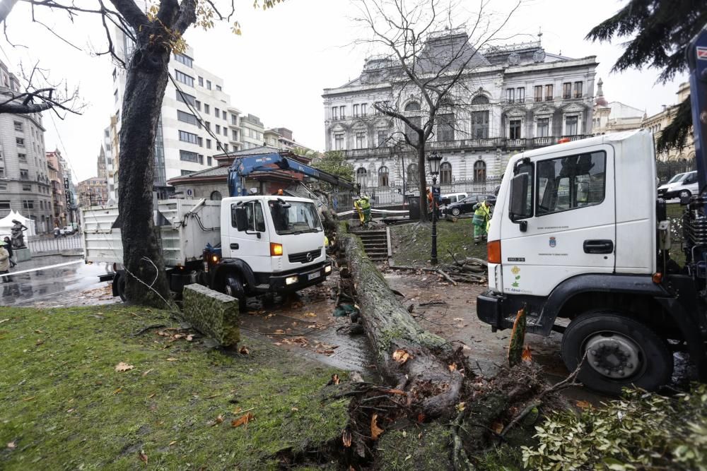 Destrozos en El Escorialín