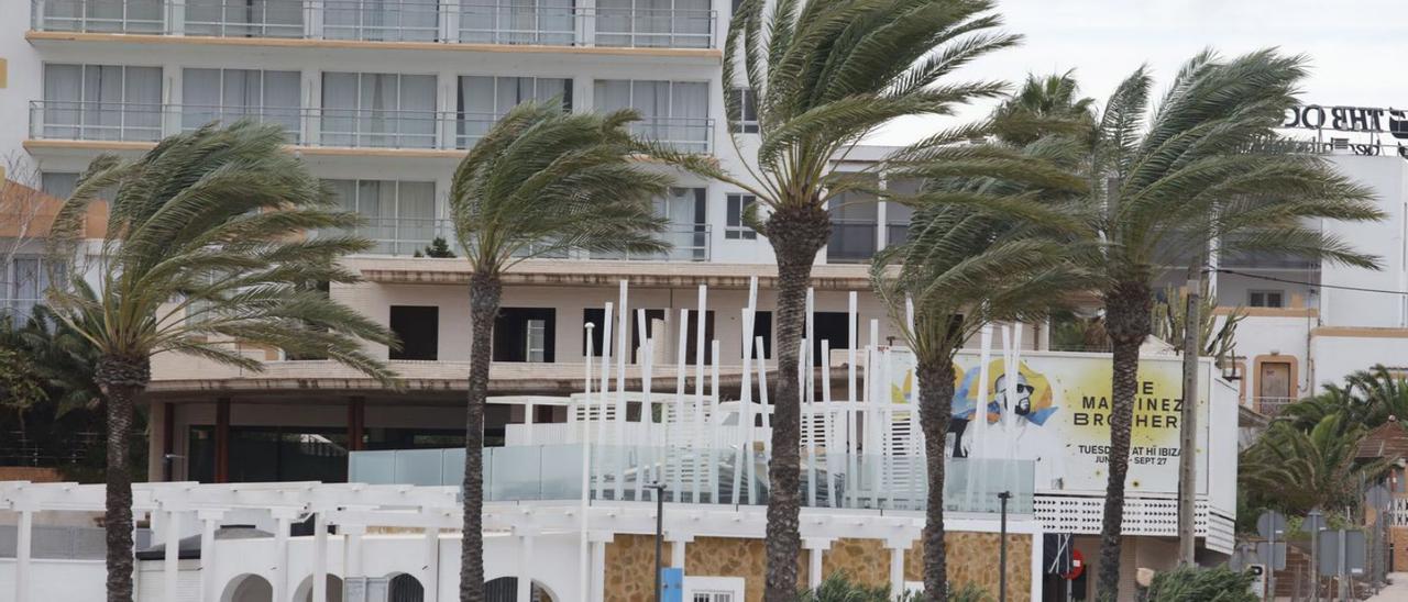 El viento zarandea varias palmeras en la bahía de Sant Antoni.