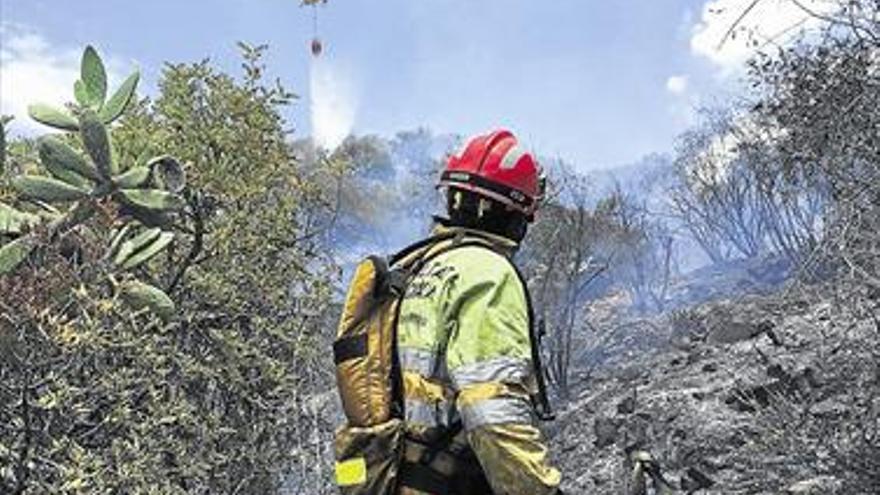 Una quema descontrolada acaba en un incendio forestal en Espadà