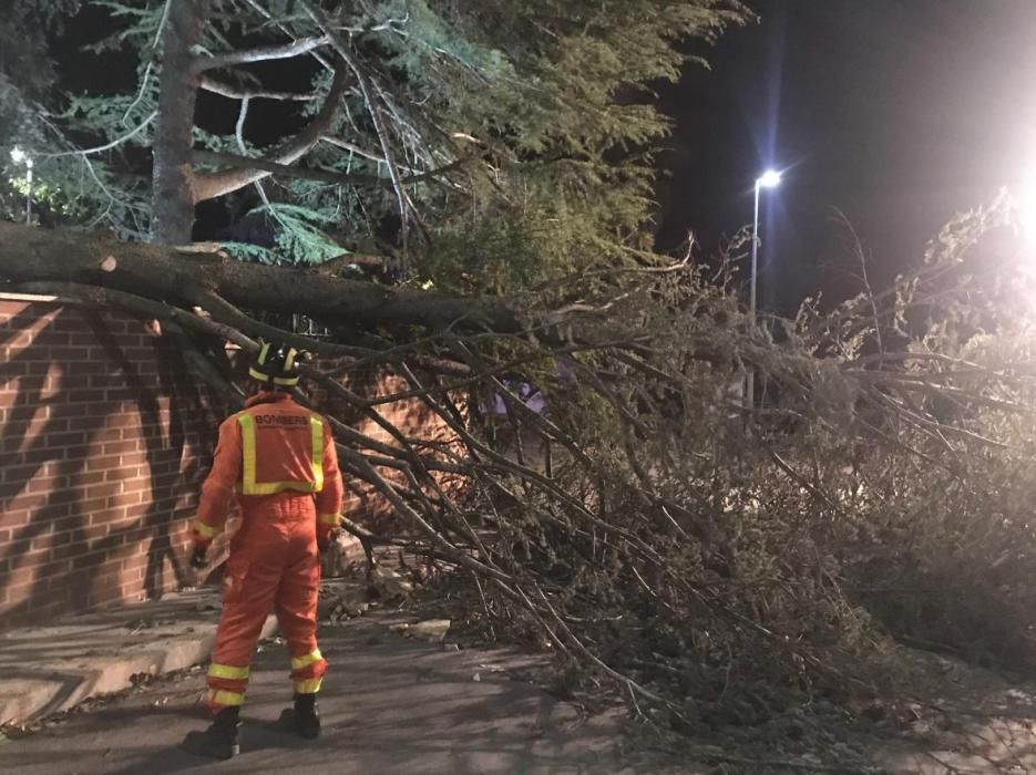 El fuerte vendaval causa la caída de árboles y de cascotes en València