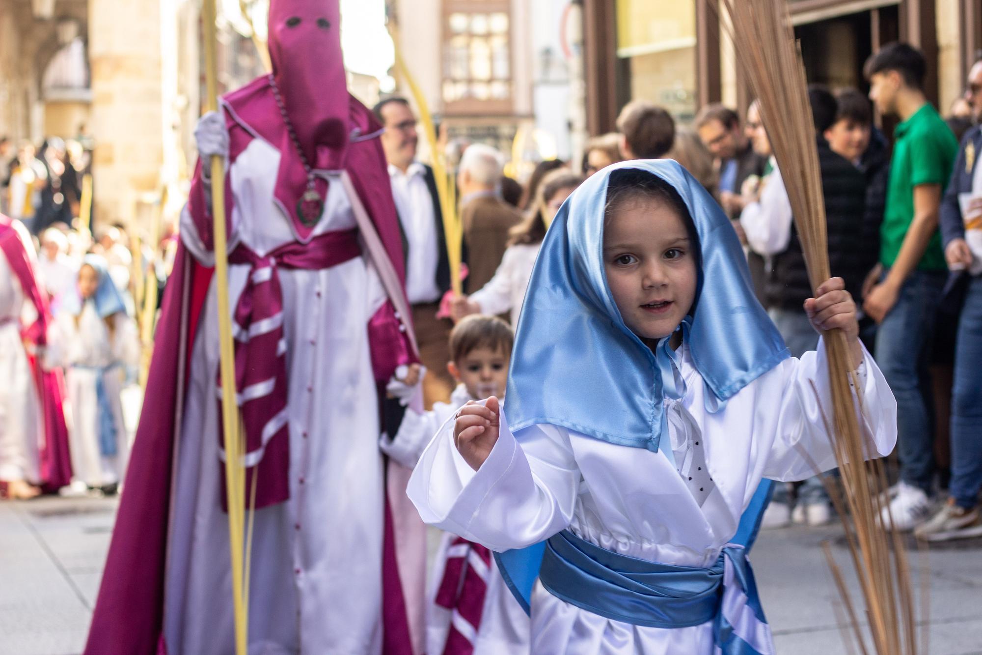 ZAMORA.DOMINGO DE RAMOS