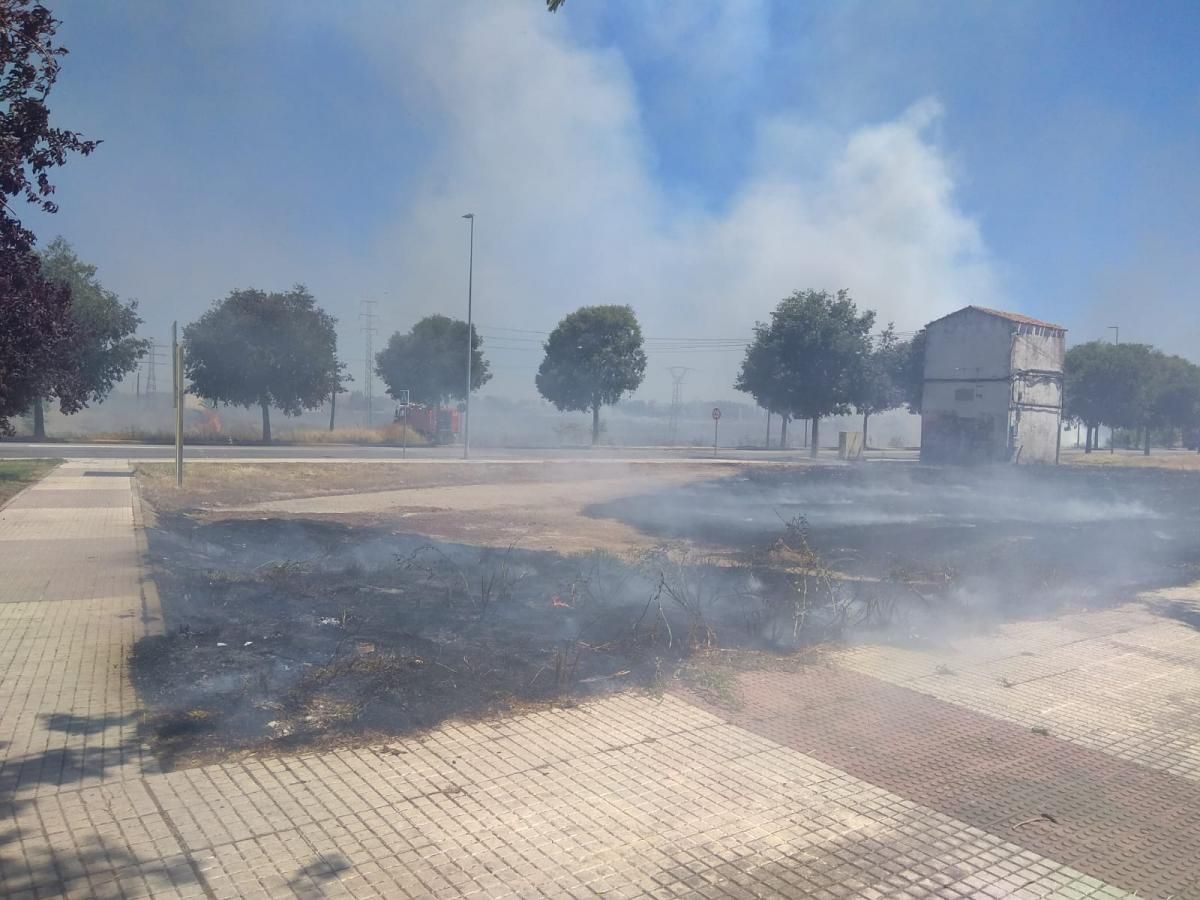 Incendio de pastos en la Ronda Norte de Badajoz