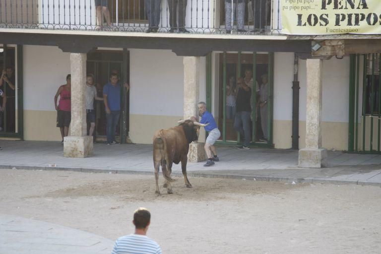 Encierro urbano en Fuentesaúco.