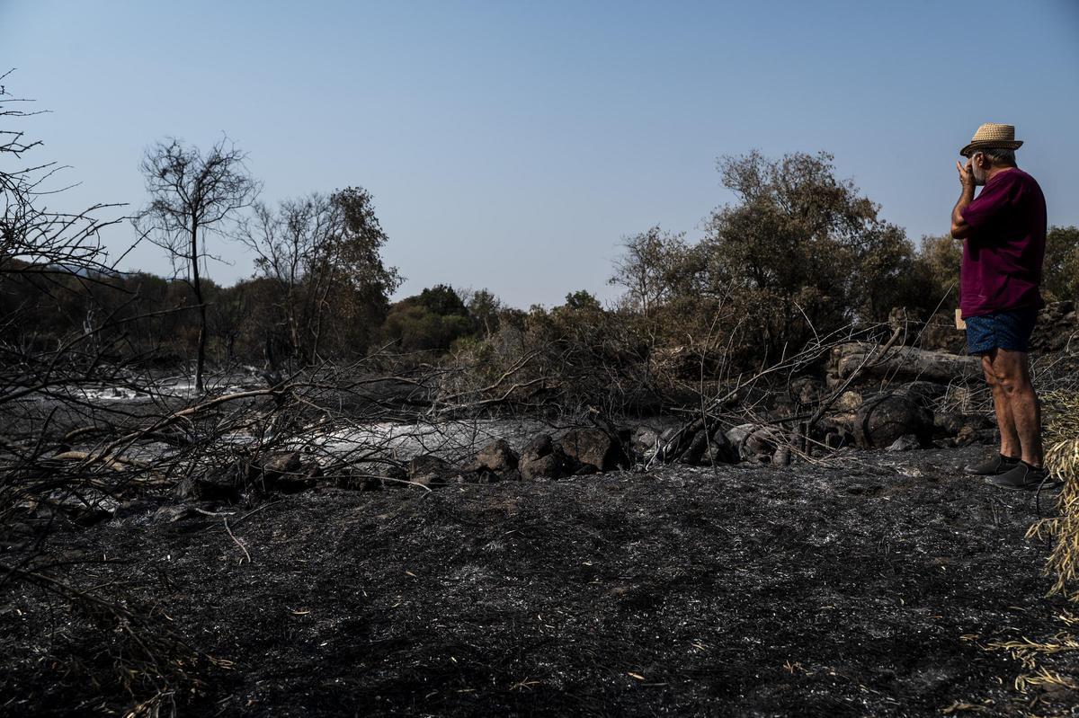 INCENDIO FORESTAL JARILLA DIA 10. JARILLA