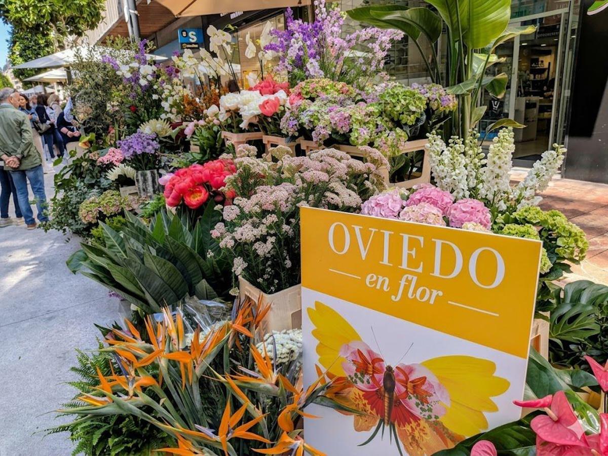 Oviedo en flor