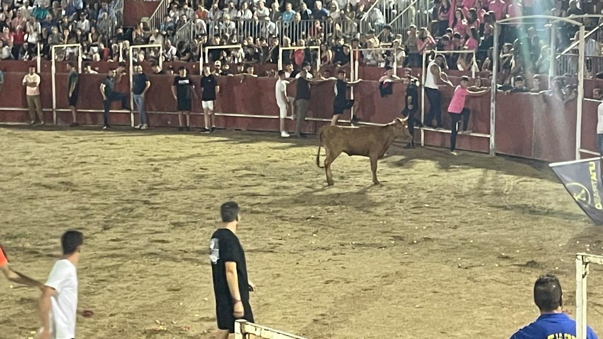 GALERÍA | Noche de vaquillas en San Cristóbal de Entreviñas