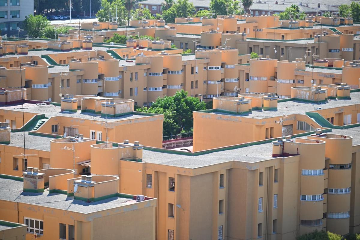 Barrio de los Palmerales de Elche.