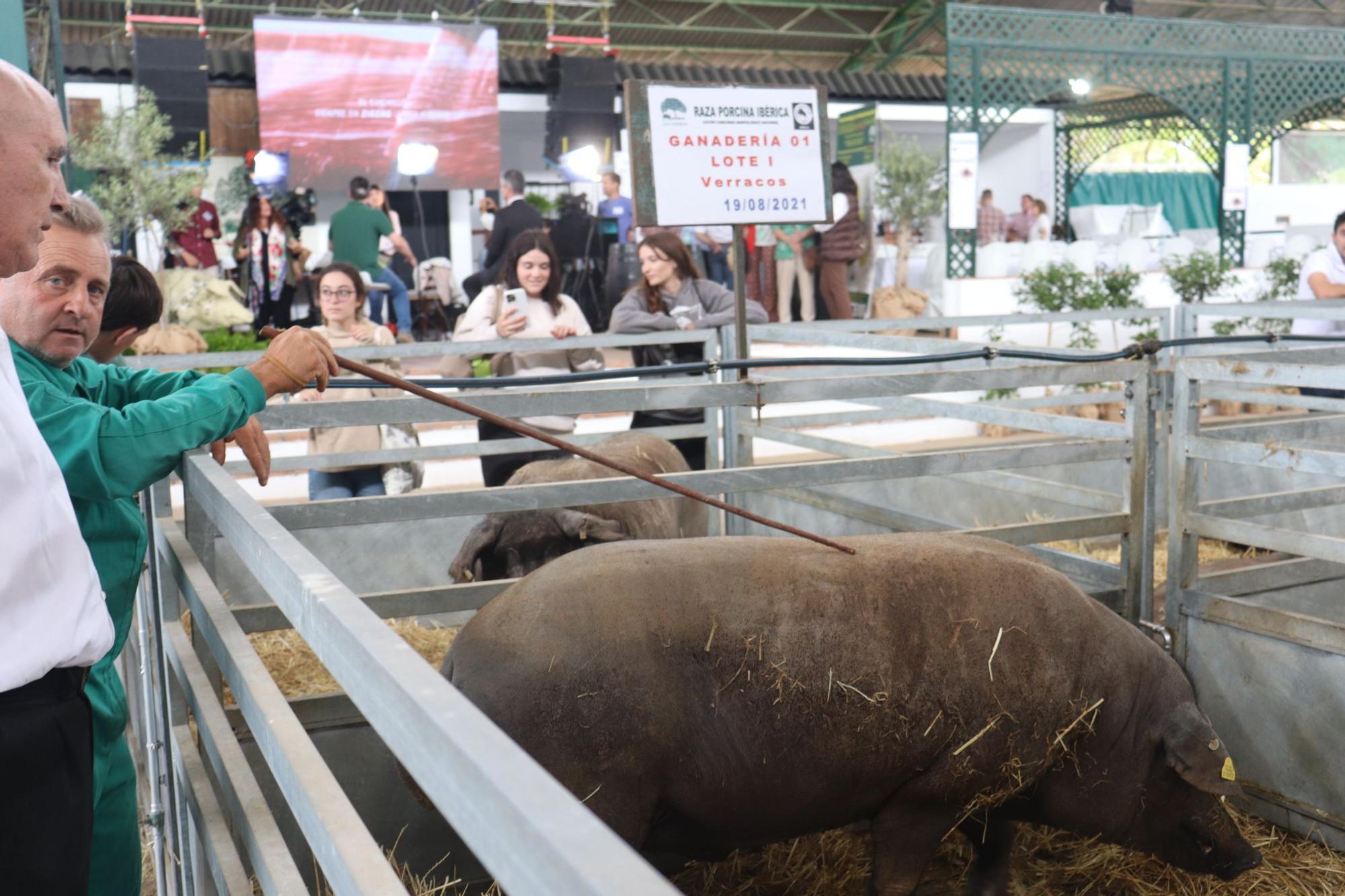 Así fue la inauguración de la Feria de Zafra 2024