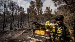 Catalunya talará bosques para transformarlos en espacios abiertos en Cap de Creus, Montseny y el macizo del Garraf
