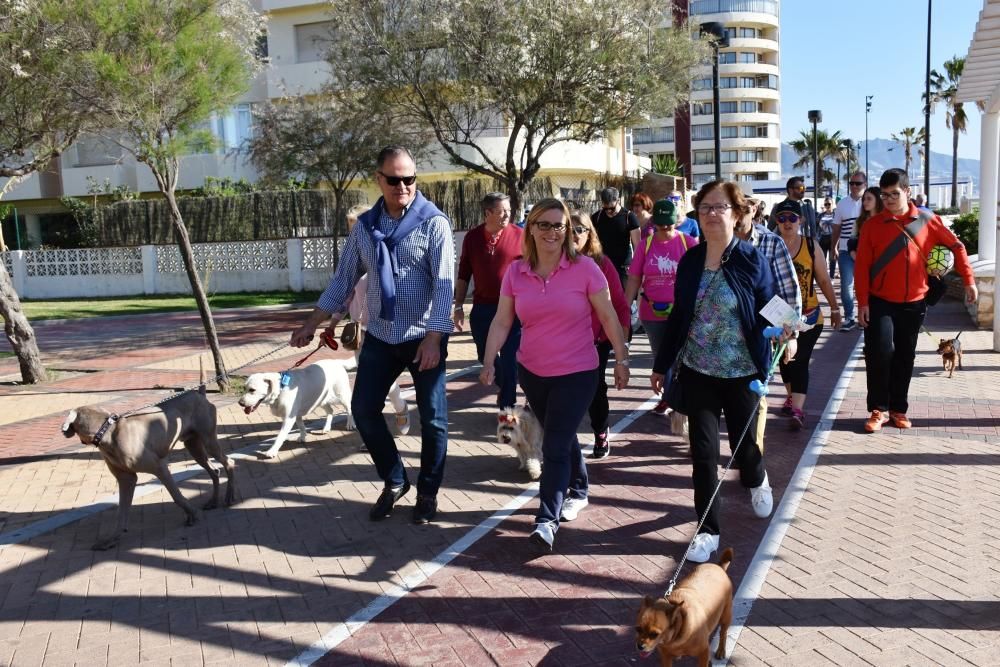 Decenas de personas se reunieron junto al Castillo Sohail para celebrar el Día del perro que se celebra desde hace siete años en Fuengirola.