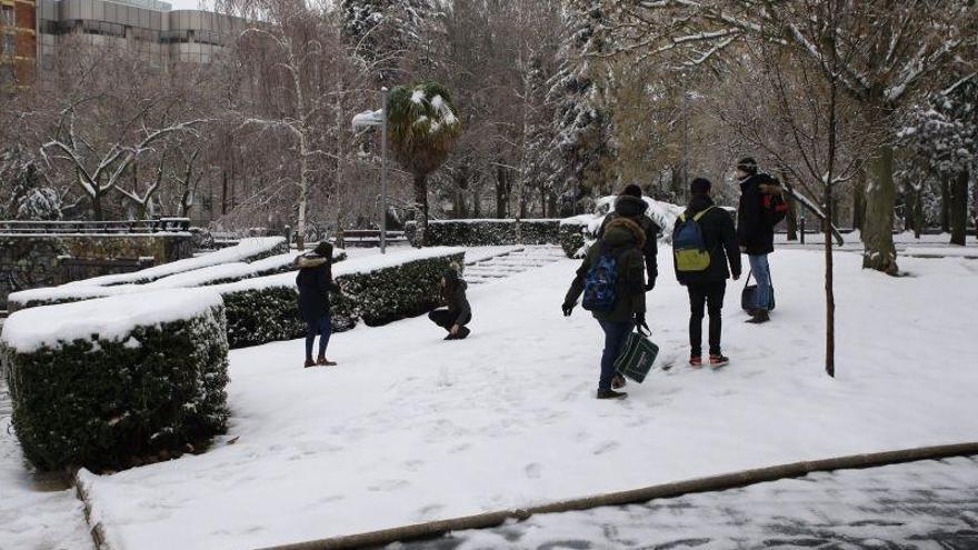 Nevada en Zamora: La ciudad, colapsada por el hielo