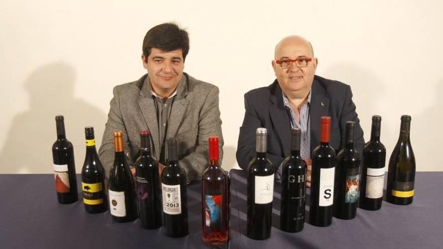 Cariñena facturó más en 2013 pero vendió menos botellas