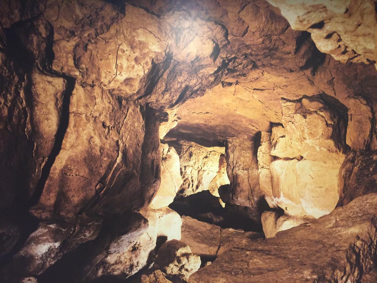 El norte de España cuenta con varias cuevas con hallazgos de arte rupestre en su interior.