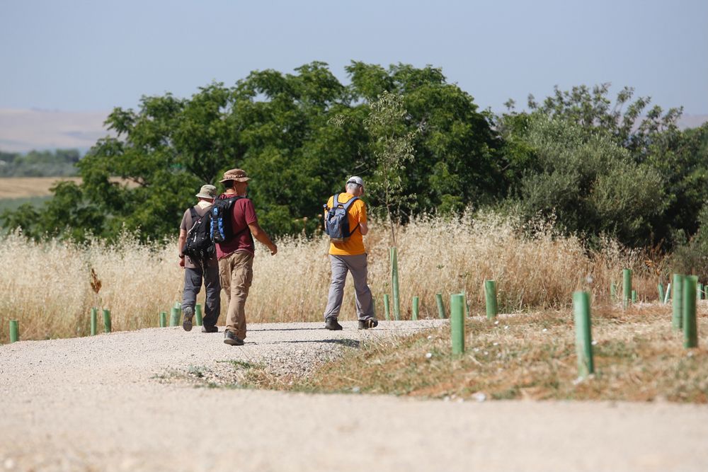 Las obras de la segunda fase del cinturón verde de Córdoba empezarán en octubre