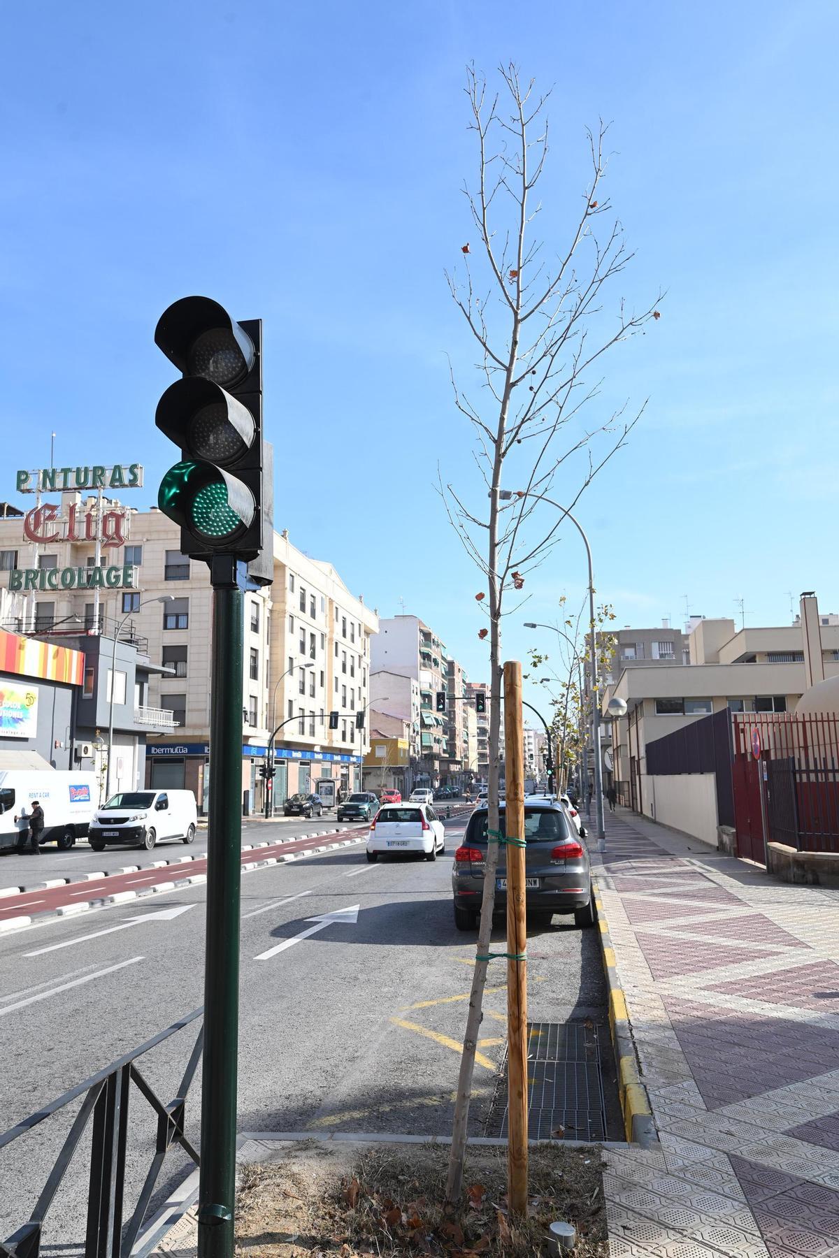 Vecinos de Pedro Juan Perpiñán en Elche han presentado quejas formales por el estado de más de una decena de árboles recién plantados