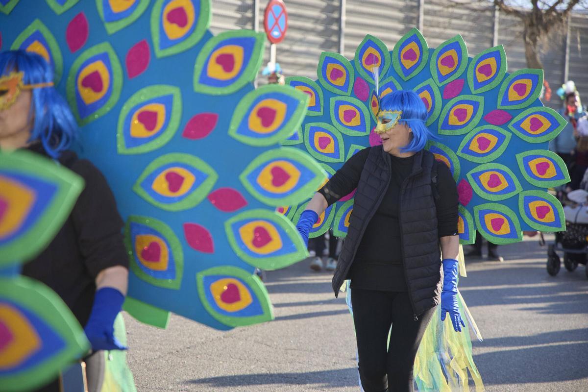 Les imatges del Carnaval d'Esquerra del Ter