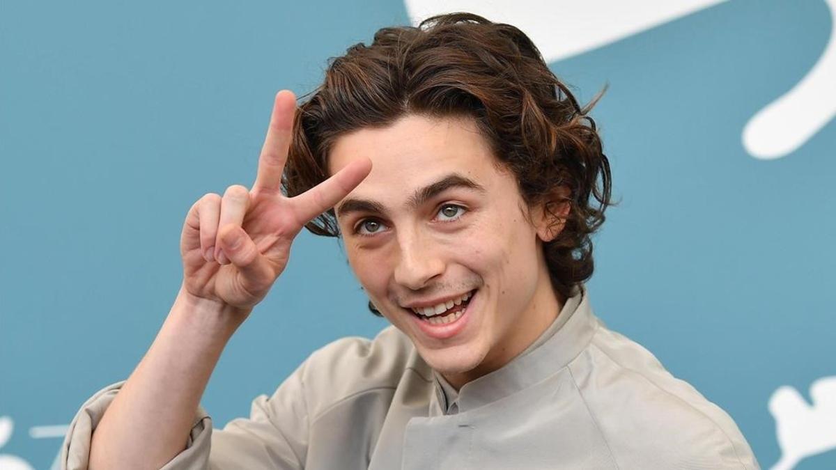 zentauroepp49678205 venice  italy   02 09 2019   us actor timothee chalamet pose191226195241