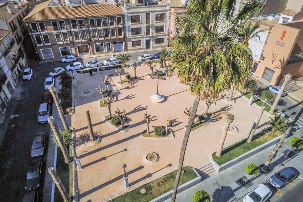 El área de Infraestructuras del Ayuntamiento de Orihuela retira desde hoy 23 troncos y tocones de las palmeras de la plaza de Santa Lucía. Un auténtico "monumento al picudo" en los últimos meses. Toda