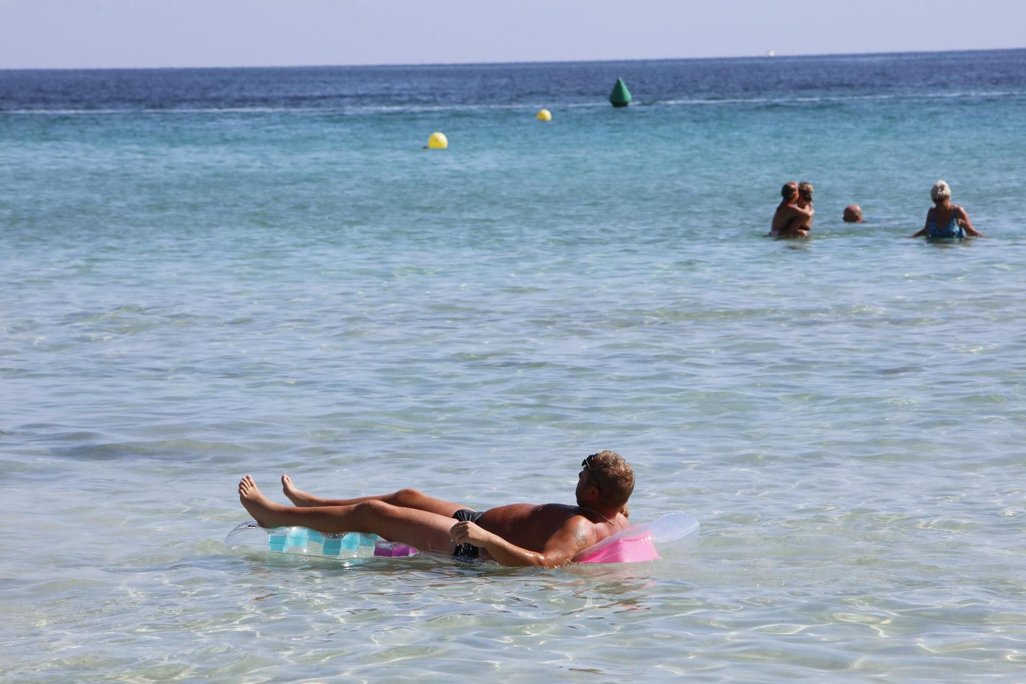 Sommer-Urlaub im Oktober: So sieht es derzeit am Strand von Alcúdia auf Mallorca aus