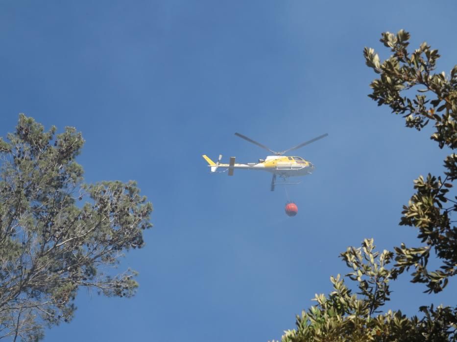 Waldbrand bei Puigpunyent