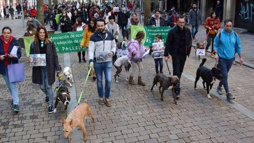 Participantes en la marcha animalista de Pontevedra. // Gustavo Santos