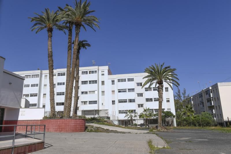 LAS PALMAS DE GRAN CANARIA  06-02-2019  LAS PALMAS DE GRAN CANARIA.  Palmeras en el solar en donde Hiperdino proyecta construir un supermercado y reconstruir la Iglesia de La Vega de San Jose.  FOTOS: JUAN CASTRO  | 06/02/2019 | Fotógrafo: Juan Carlos Castro