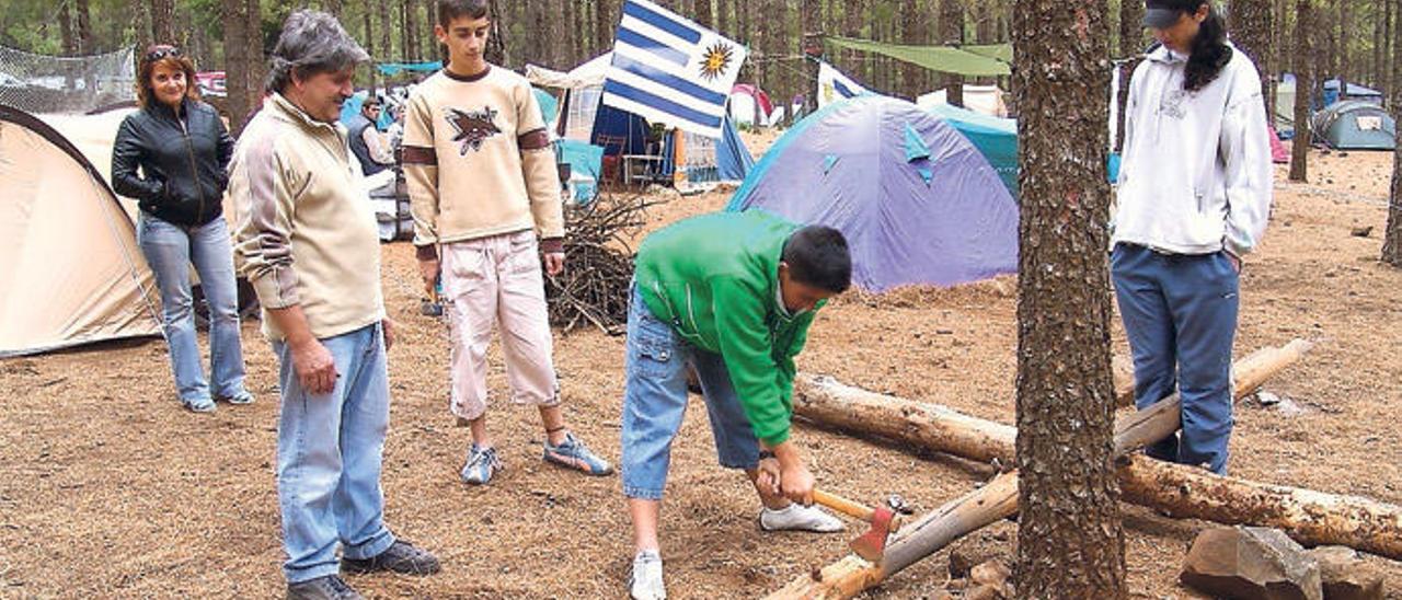 Usuarios de una zona de acampada de Tejeda cortan leña.